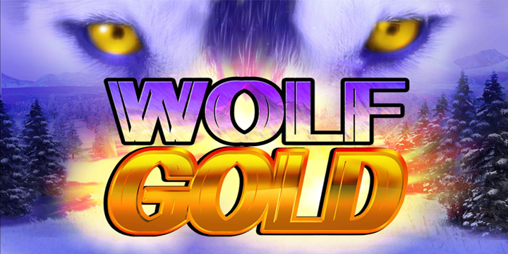 Wolf Gold: Rahasia Keberuntungan di Alam Liar Amerika!